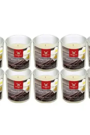 Beste Prijs Trend Candles Geurkaars - 10x - in glas - Anti tabac aroma - 8 uren - geurkaarsen