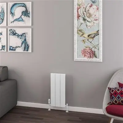 Aanbieding Eastbrook Withington radiator 30x60cm aluminium 305W wit mat